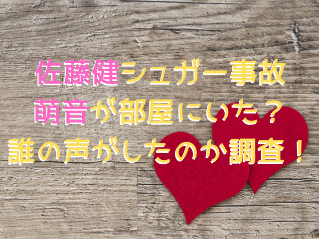 佐藤健シュガー事故で萌音が部屋にいたって本当 誰の声がしたのか調査 人生に彩を